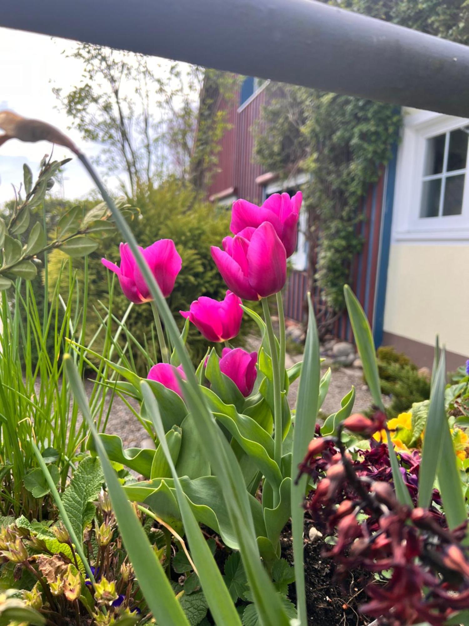 Am Flussgarten 埃里斯基尔希 外观 照片