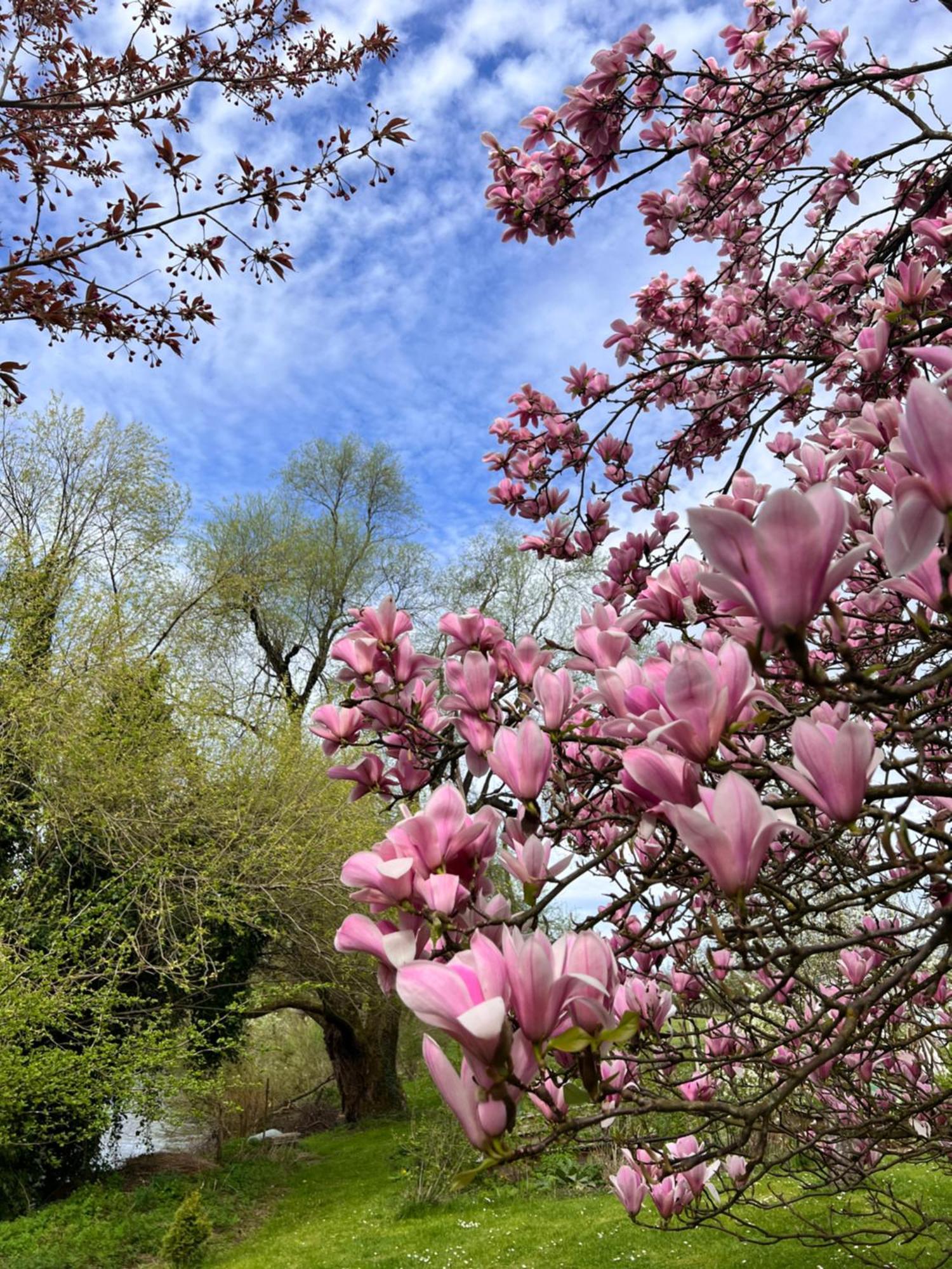 Am Flussgarten 埃里斯基尔希 外观 照片