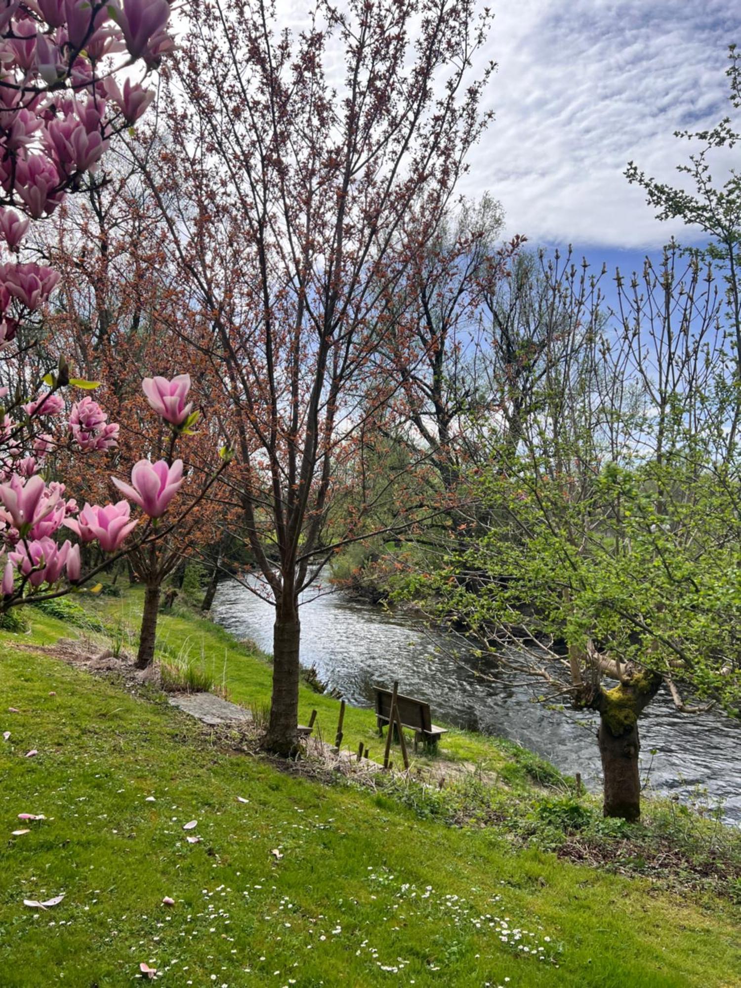 Am Flussgarten 埃里斯基尔希 外观 照片