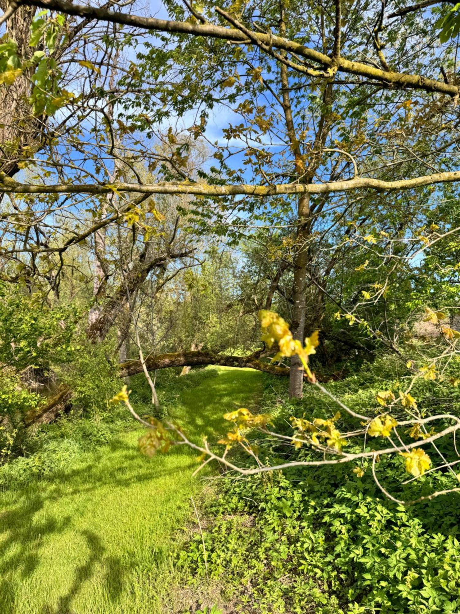 Am Flussgarten 埃里斯基尔希 外观 照片